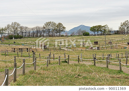 Spring scenery of Sky Park 90011369