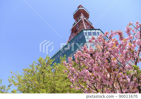 春天札幌電視塔(空背) 春天札幌電視塔(空背) 90011670