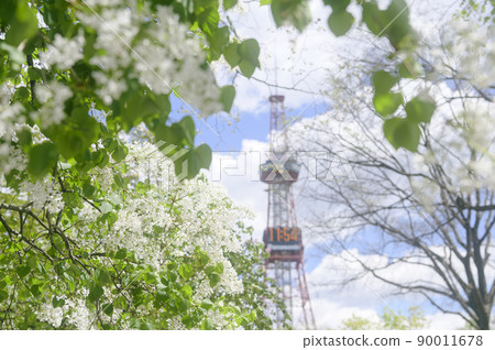 札幌大通公園的丁香和電視塔（電影表現） 90011678