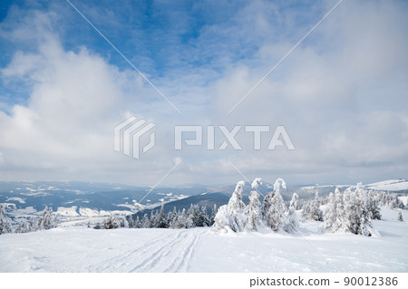Carpathian mountains, Ukraine. Wonderful snow-covered firs against the backdrop of mountain peaks. Panoramic view of the picturesque snowy winter landscape. Gorgeous and quiet sunny day. 90012386