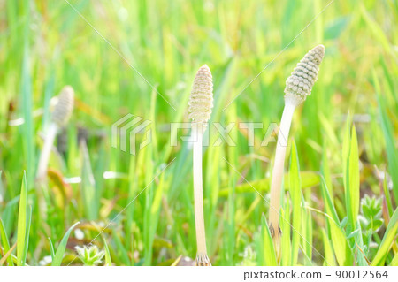 Spring horns 90012564