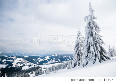 Carpathian mountains, Ukraine. Trees covered with hoarfrost and snow in winter mountains - Christmas snowy background Carpathian mountains, Ukraine. Trees covered with hoarfrost and snow in winter mountains - Christmas snowy background 90012597