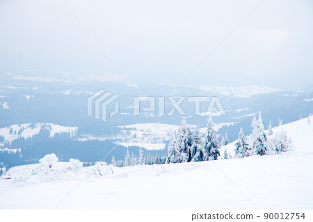 Carpathian mountains, Ukraine. Beautiful winter landscape. The forrest ist covered with snow. 90012754