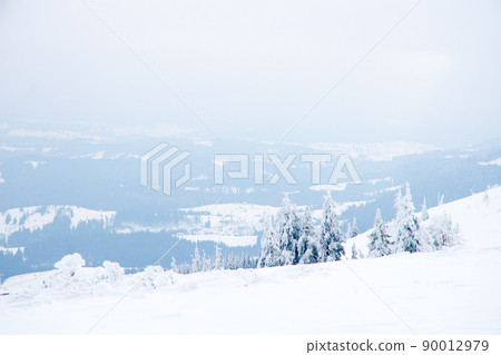 Carpathian mountains, Ukraine. Beautiful winter landscape. The forrest ist covered with snow. 90012979
