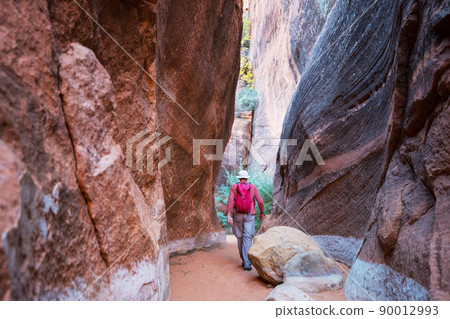 Bisti Bisti 90012993