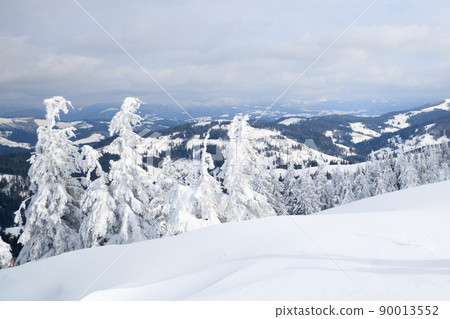 Carpathian mountains, Ukraine. Trees covered with hoarfrost and snow in winter mountains - Christmas snowy background 90013552