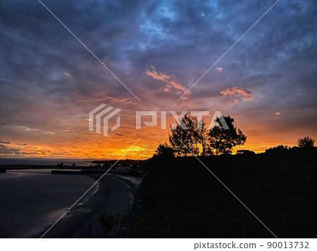 Asahi and two trees burning in winter 90013732