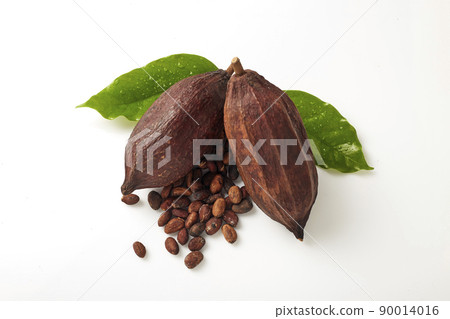 Cocoa pods with Cocoa leave and seeds 90014016