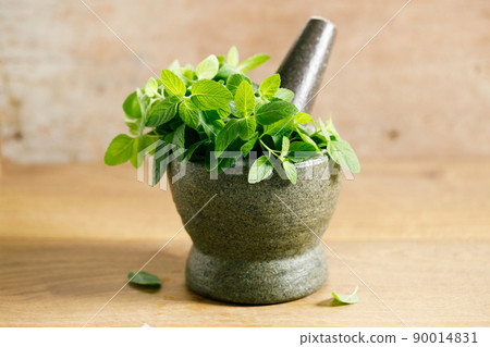 Fresh mint on wooden table. Fresh mint on wooden table. 90014831