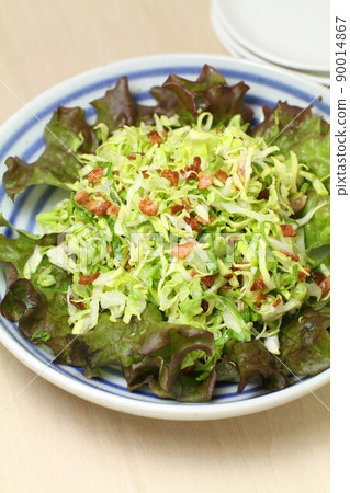 Vegetable salad, crispy bacon salad with spring cabbage Vegetable salad, crispy bacon salad with spring cabbage 90014867