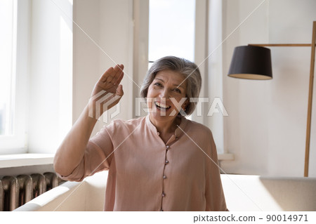 Excited cheerful middle aged retired lady making video call 90014971