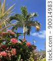 Blue sky, palm trees and hibiscus 90014983