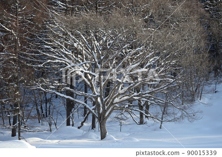 Snowy mountain scenery Yatsugatake, Nagano Prefecture 90015339