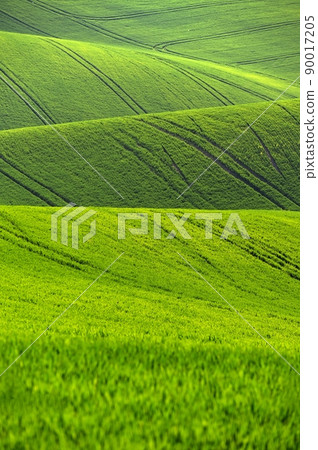 Beautiful spring landscape. Waves on the field - Moravian Tuscany Czech Republic. Beautiful spring landscape. Waves on the field - Moravian Tuscany Czech Republic. 90017205