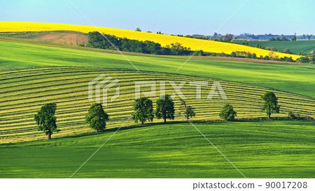 Beautiful landscape with spring nature. Waves on the field. South Moravia - Moravian Tuscany - Czech Republic Europe.. Beautiful landscape with spring nature. Waves on the field. South Moravia - Moravian Tuscany - Czech Republic Europe.. 90017208