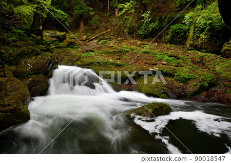 Yin Yang Waterfall (Akame 48 Waterfalls) [Nabari City, Mie Prefecture] 90018547