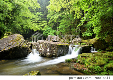 Hyakujoiwa-mae Waterfall (Akame 48 Waterfalls) [Nabari City, Mie Prefecture] 90018811