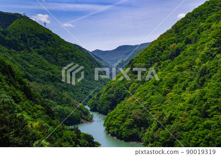 Fresh green mountains and Azusa River 90019319