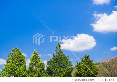 Road Station Narai Kiso Gogi and the Blue Sky 90019321