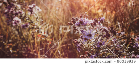Seasonal sale website banner with wild grass on a meadow Seasonal sale website banner with wild grass on a meadow 90019939