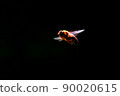 Flying bee 90020615