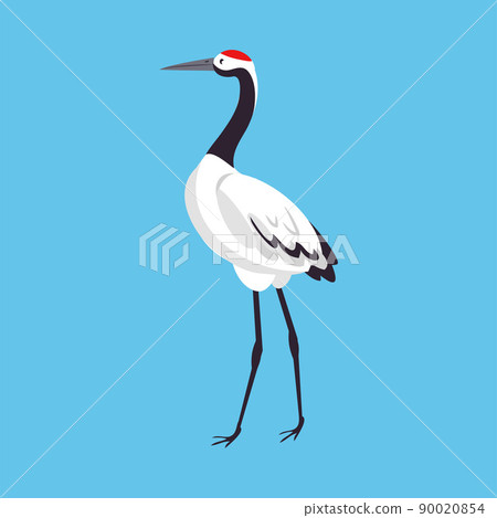Red Crowned Crane as Long-legged and Long-necked Bird Standing on Blue Background Vector Illustration Red Crowned Crane as Long-legged and Long-necked Bird Standing on Blue Background Vector Illustration 90020854