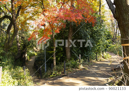 Autumn Komabano Park Autumn Komabano Park 90021133