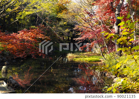 Autumn Komabano Park Autumn Komabano Park 90021135
