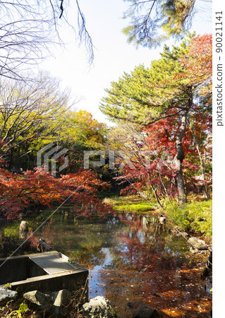 秋天的駒野公園 90021141
