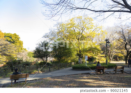 秋天的駒野公園 秋天的駒野公園 90021145
