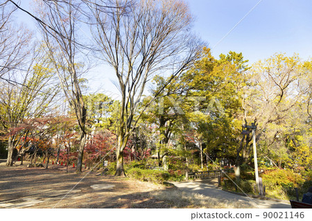Autumn Komabano Park Autumn Komabano Park 90021146