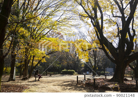 Autumn Komabano Park Autumn Komabano Park 90021148