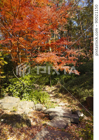 Autumn Komabano Park Autumn Komabano Park 90021150