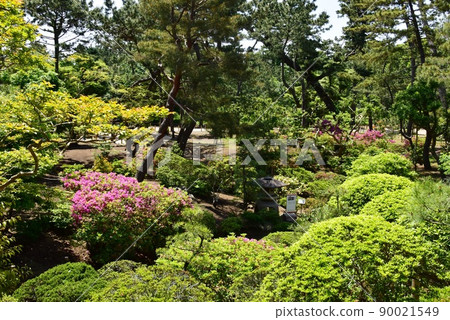 大磯町明治紀念大磯宅邸步行道和庭園的新綠和盛開的杜鵑花 大磯町明治紀念大磯宅邸步行道和庭園的新綠和盛開的杜鵑花 90021549