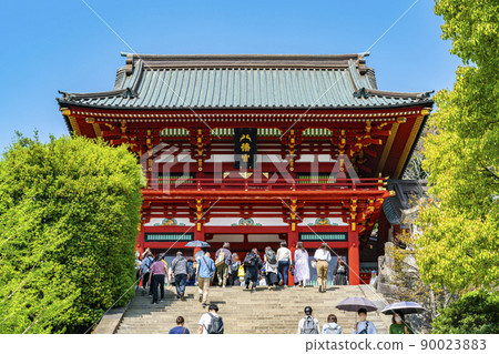 [神奈川縣] 鎌倉的鶴岡八幡宮，陽光明媚 90023883