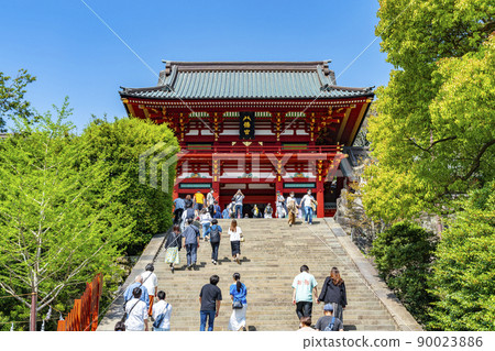 [Kanagawa Prefecture] Tsurugaoka Hachimangu in Kamakura, which was refreshingly sunny 90023886