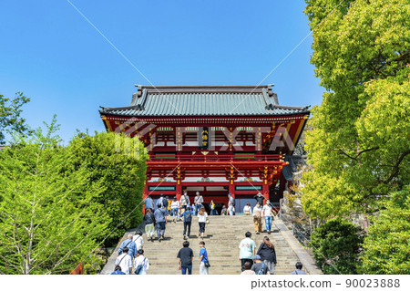 [Kanagawa Prefecture] Tsurugaoka Hachimangu in Kamakura, which was refreshingly sunny 90023888