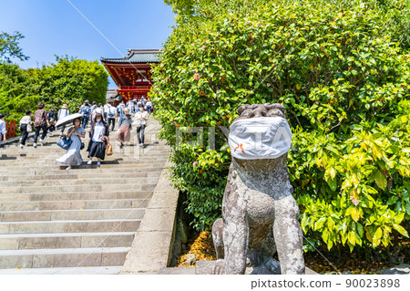 [神奈川縣] 鎌倉的鶴岡八幡宮，陽光明媚 90023898