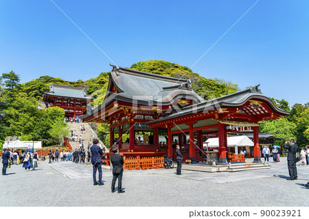 [神奈川縣]鎌倉的鶴岡八幡宮，遊客眾多 90023921