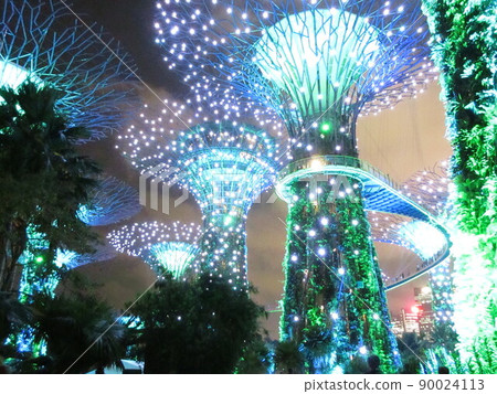 新加坡濱海灣花園夜景 90024113