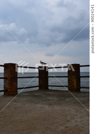 One seagull sits on a old sea pier. 90024141