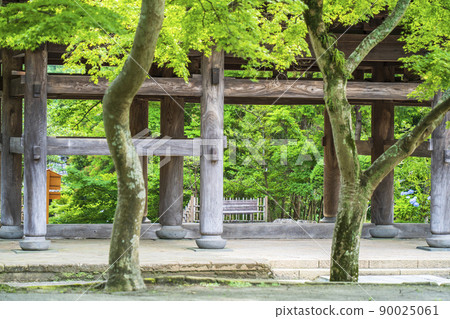 圓覺寺山門[神奈川縣鎌倉市] 90025061