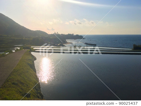 京都探戈 Sodeshi Tanada 01 京都探戈 Sodeshi Tanada 01 90025437