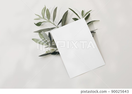 Blank greeting card, invitation mock-up scene with blooming green olive tree leaves, branch isolated on white table background in sunlight. Ligts and shadows. Summer Mediterranean flat lay, top view. Blank greeting card, invitation mock-up scene with blooming green olive tree leaves, branch isolated on white table background in sunlight. Ligts and shadows. Summer Mediterranean flat lay, top view. 90025643