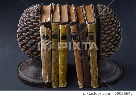 Old dilapidated books stand between holders Old dilapidated books stand between holders 90026642
