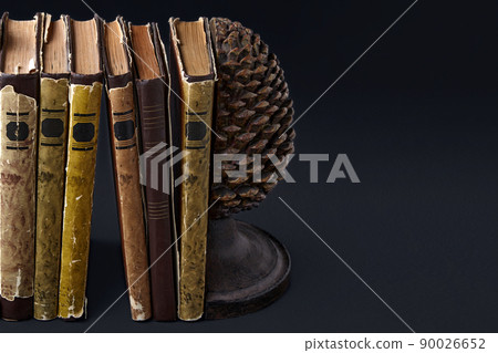 Old dilapidated books stand between holders in the form of spit cones Old dilapidated books stand between holders in the form of spit cones 90026652