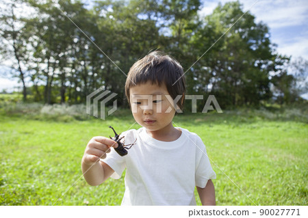 Children collecting insects Children collecting insects 90027771