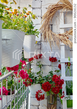 Flowering plants in pots on the balcony patio 90028132