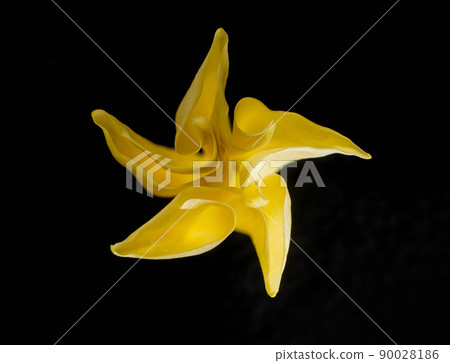 Studio shot of flower on a black background. Selective focus. Studio shot of flower on a black background. Selective focus. 90028186