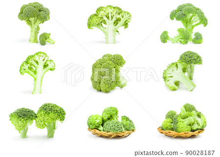 Set of fresh green broccoli Set of fresh green broccoli 90028187